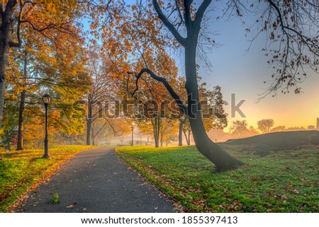Similar – Image, Stock Photo in central park