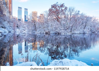 Central Park. New York. USA In Winter Covered With Snow