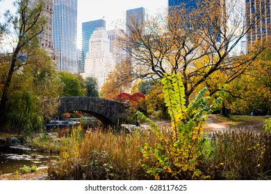 95,235 Nyc park Images, Stock Photos & Vectors | Shutterstock