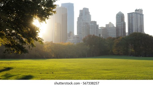 Central Park Panorama At Sunny Day, New York