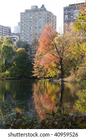 central park pond in new york city on the upper west side by the north field in autumn with colorful trees and leaves