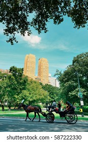 Central Park Spring And Horse Carriage In Midtown Manhattan New York City