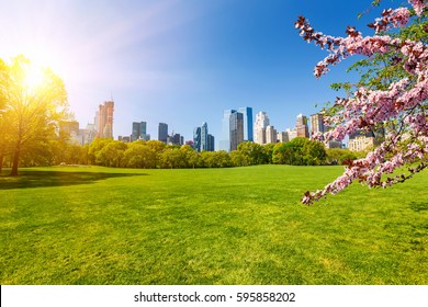 Central park at spring sunny day, New York City