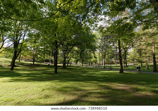 Central Park Summer New York Stock Photo (Edit Now) 738988510