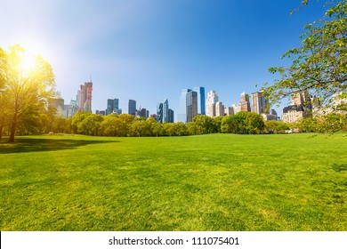 Central park at sunny day, New York City - Shutterstock ID 111075401