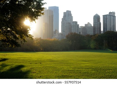 Central Park At Sunset, New York City