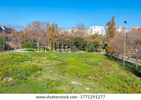 Similar – Foto Bild central park Umwelt Natur