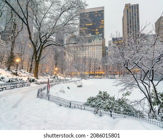 456 Plaza hotel new york winter Images, Stock Photos & Vectors ...