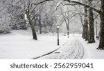 Central Park in winter during a snow storm in the early morning