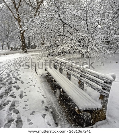 Central Park in winter  in sinter during snow storm