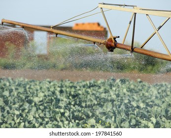 Central Pivot Irrigation System Watering