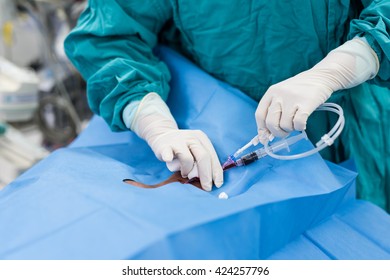 Central Venous Pressure Procedure Stock Photo 424257646 | Shutterstock