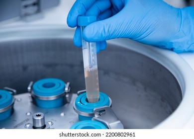 Centrifuge Of Cells At Cell Culture Laboratory