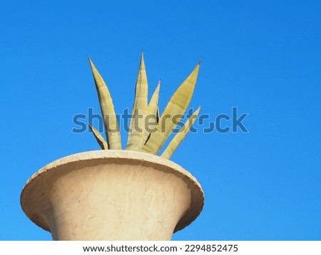 century plant against deep blue sky with space for runaround or wraparound text 