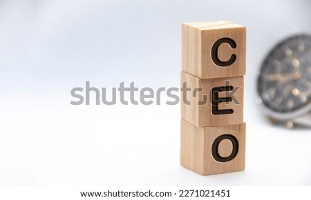 CEO text representing Chief Executive Officer engraved on wooden blocks with customizable space for text. Copy space and Senior Management concept.