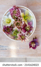 a ceramic bowl with beautiful variete of pink and white hellebore on wooden table
