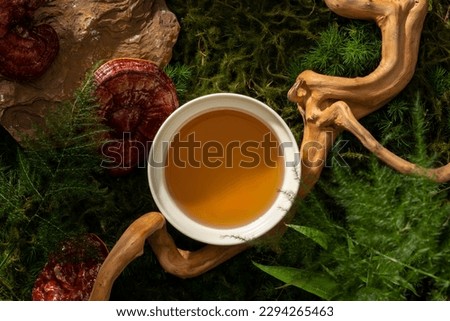 A ceramic bowl filled with tonic herbal medicine placed on green moss background with tree branch and Lingzhi mushroom. Lingzhi mushroom may benefit immune and overall health
