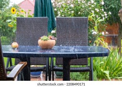 Ceramic pot with succulents on the garden table outside on the patio in the late summer rain. - Powered by Shutterstock