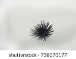 Ceramic Urchin