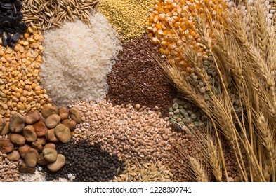 Cereal Grains , Seeds, Beans