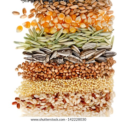 Cereal Grains and Seeds : Rye, Wheat, Barley, Oat, Sunflower, Corn, Flax, Poppy, border closeup on white background