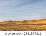 Cereal Table of Castilla y Leon, on the St. James Way in autumn 2024.