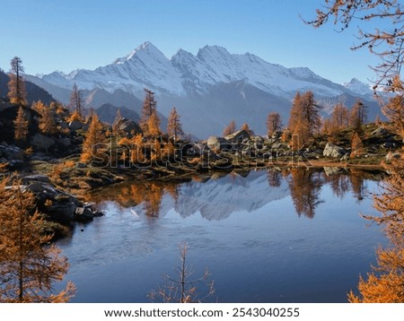 Similar – Image, Stock Photo Piedmont 2024 Landscape