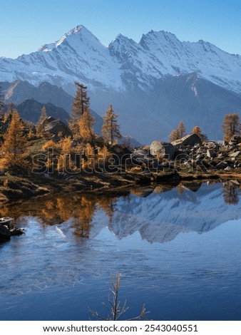Similar – Image, Stock Photo Piedmont 2024 Landscape