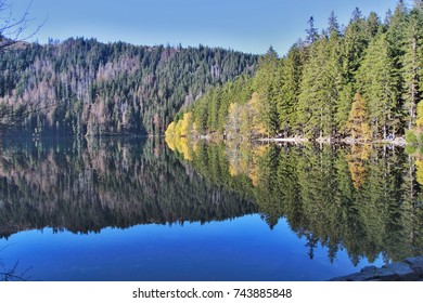 Cerne Jezero (Black Lake) In Sumava Near Zelezna Ruda