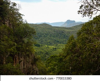 Cerrados Forest Scenery Chapada Dos Veadeiros Stock Photo 770015380 ...