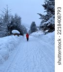 Cerro Catedral, Bariloche, Argentina, July 2022. South America Winter, Patagonia