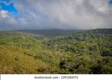 Cerro Jefe Tropical Rainforest, Panama.