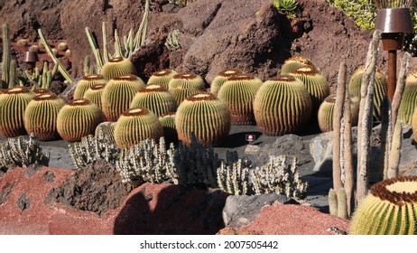 Cesar Manrique's Cactus Garden, Lanzarote