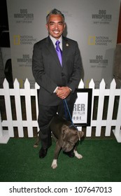 Cesar Millan  At The Party To Celebrate The 100th Episode Of 'Dog Whisperer'. Boulevard 3, Hollywood, CA. 09-17-08