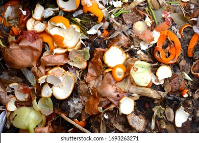 Cesspool in the garden. Composting a bunch of rotting food waste, plant scraps, trash, garbage, slops - Shutterstock ID 1693263271