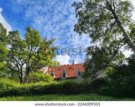 Cesvaines castle and summer nature beauty