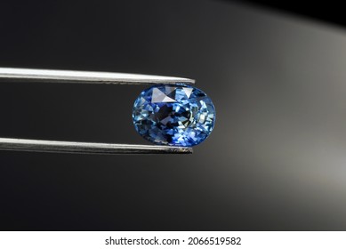 Ceylon Sapphire Gemstone. Natural Oval Faceted, Cornflower Blue Gem, Flawless, Transparent Precious Stone Setting For Making Jewelry. Valued, Over 3 Carat Big Sample. Sry-Lanka Mined. In Tweezers.