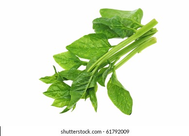 1,482 Ceylon Spinach Images, Stock Photos & Vectors | Shutterstock