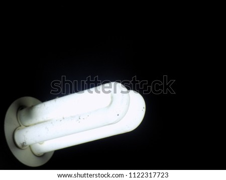 CFL Light Bulb