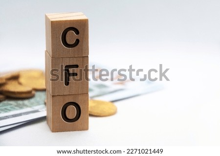 CFO text representing Chief Financial Officer engraved on wooden blocks with customizable space for text. Copy space and Senior Management concept.