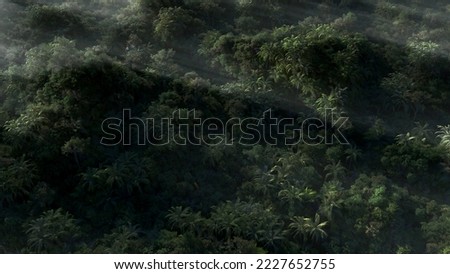 cgi rainforest from the distance