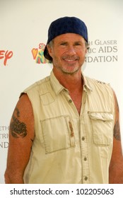 Chad Smith At The 2010 A Time For Heroes Celebrity Picnic, Wadsworth Theater, Los Angeles, CA. 06-13-10