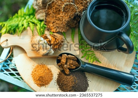 Chaga mushroom. Mushroom coffee chaga superfood. Dried mushrooms and and a cup of coffee. Healthy organic energizing adaptogen, endurance boosting food trends. 