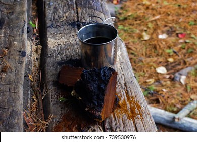 Chaga Mushroom And Tea Outside