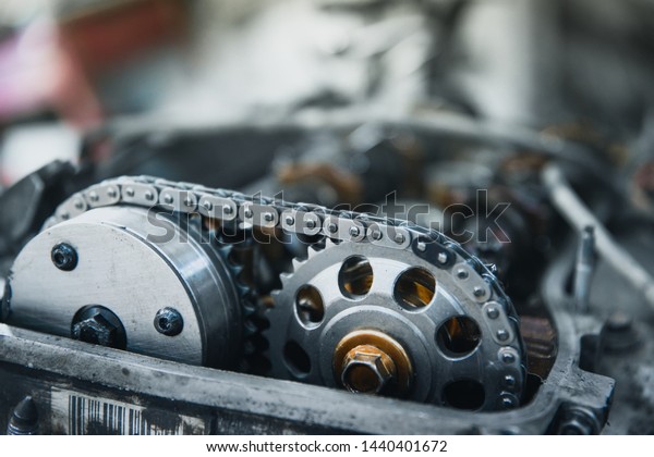 the chain and gears of the\
engine\'s gas distribution mechanism at a shallow depth of\
field