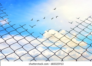 Chain link fence with hole against cloudy blue sky and Birds