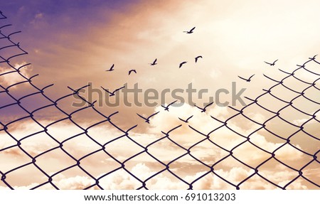 Chain link fence with Hole against a Cloudy Blue Sky and Birds, Fight for Better Life concept,Think out of the box concept