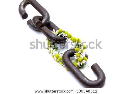 a chain is only as strong as its weakest link proverb one link made of flowers
