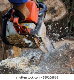 Chain Saw In Action