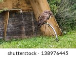 Chained Eagle